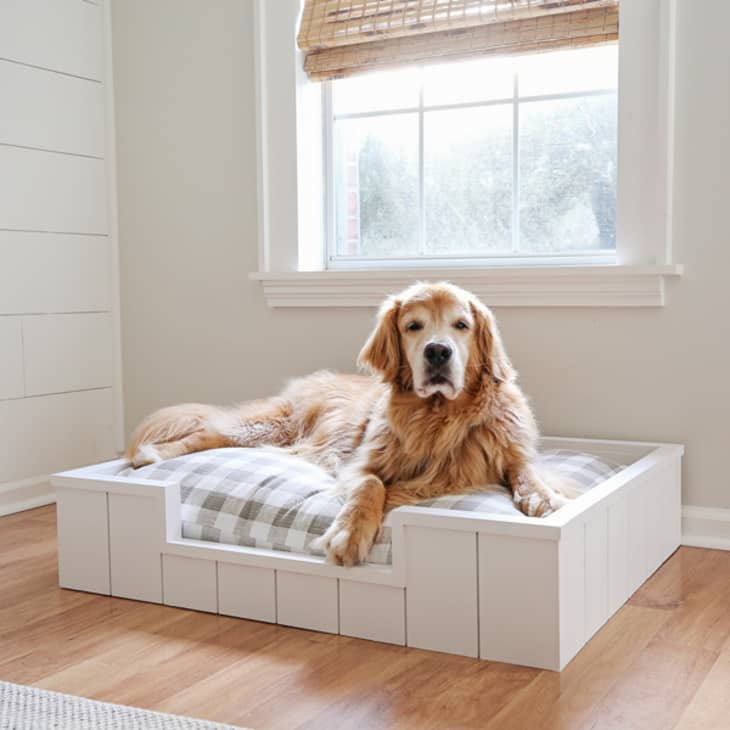 16 DIY Dog Bed Ideas That Let Your Pup Relax in Style Apartment Therapy